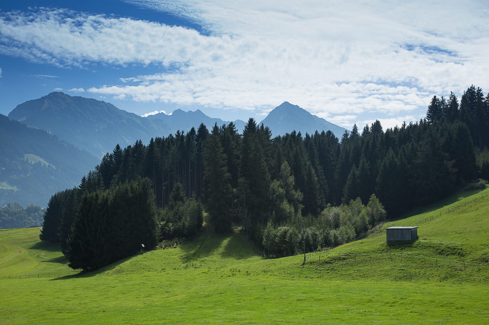 Allg&auml;uer Landschaft mit Bergen und Wald